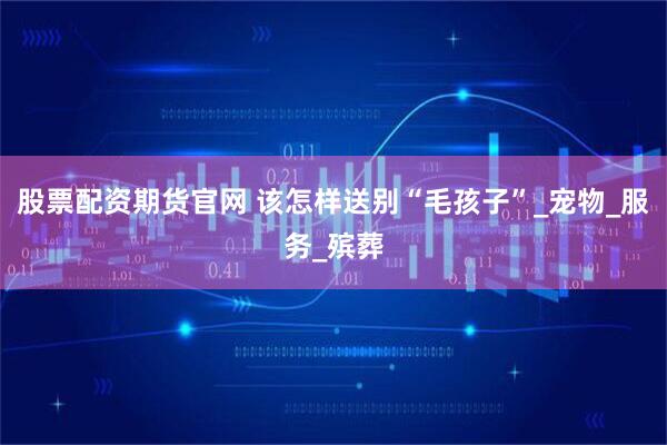股票配资期货官网 该怎样送别“毛孩子”_宠物_服务_殡葬